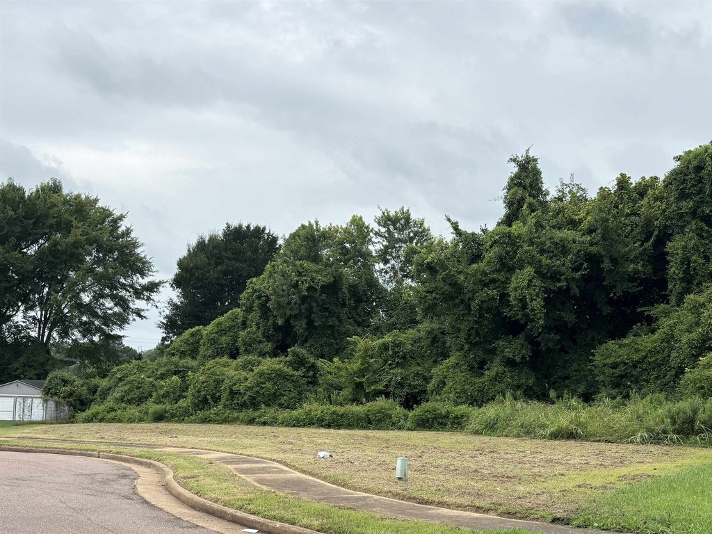 Picture 2