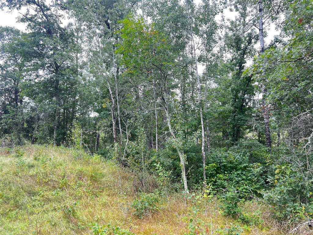 Picture 26