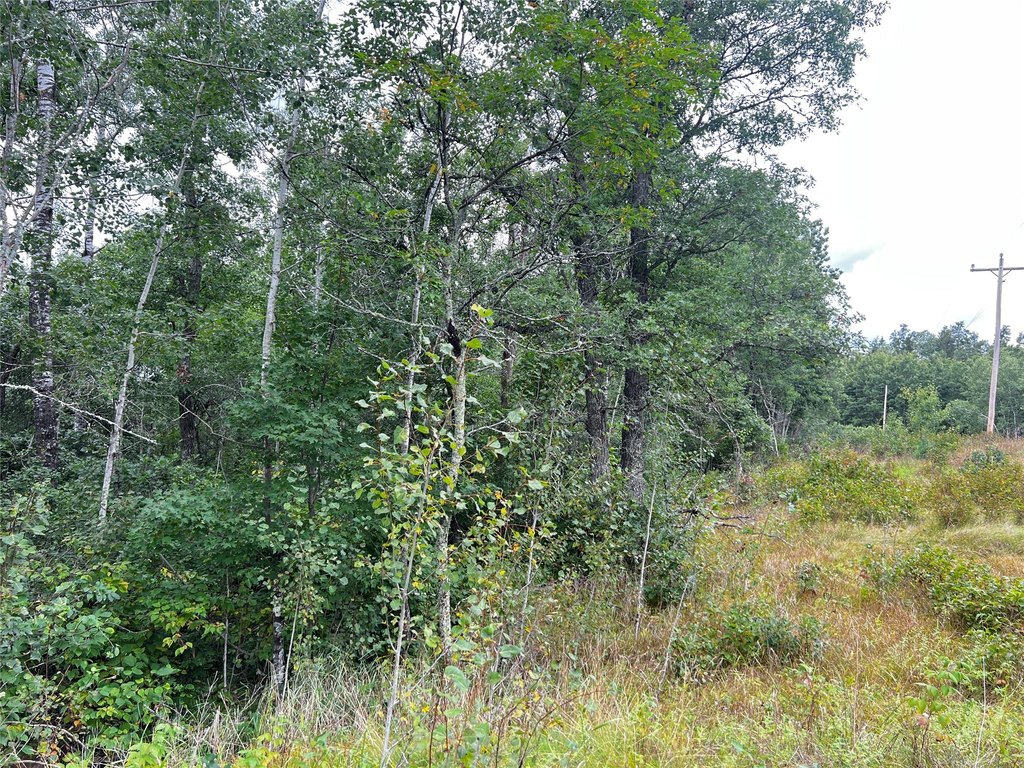Picture 27
