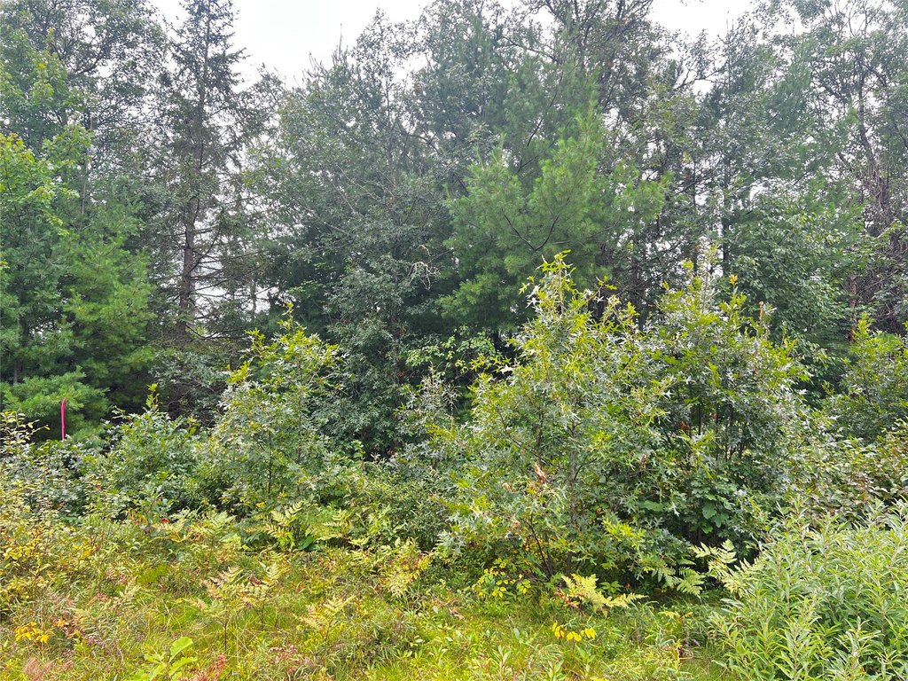 Picture 23
