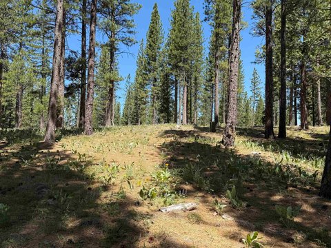 Land, Clio, CA