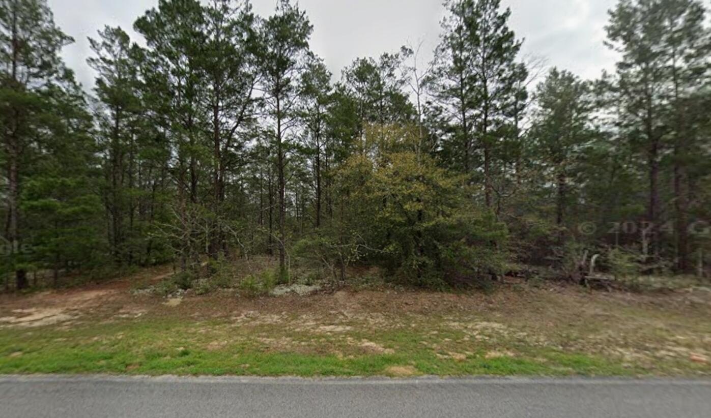 Wooded Lot Near Emerald Coast