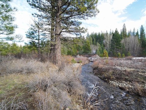 Graeagle Land with Creek Frontage