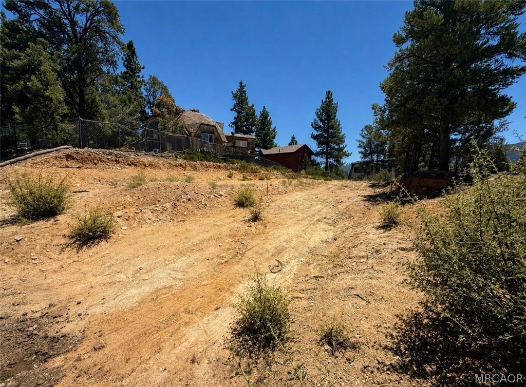 Picture 6