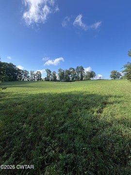 Land, Wildersville, TN
