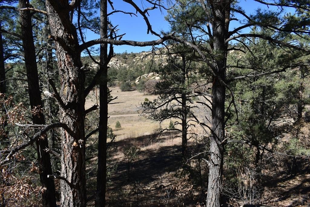 Land with Mountain Views