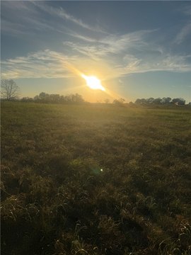 Land, Lead Hill, AR