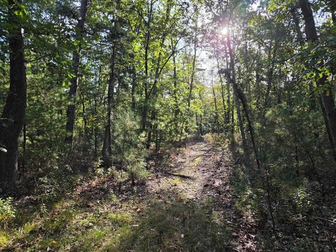 LOTS/LAND, Hamilton Township, NJ