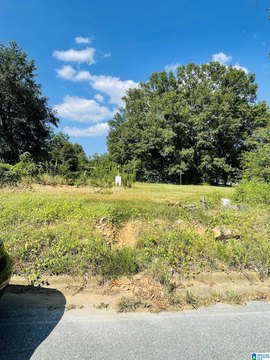 LAND - SYLACAUGA, AL