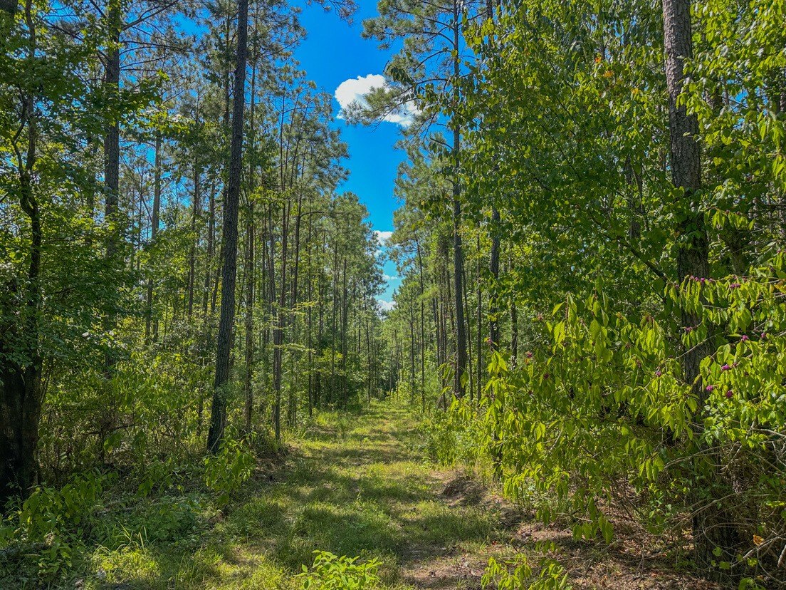Land with Turkey Creek Frontage