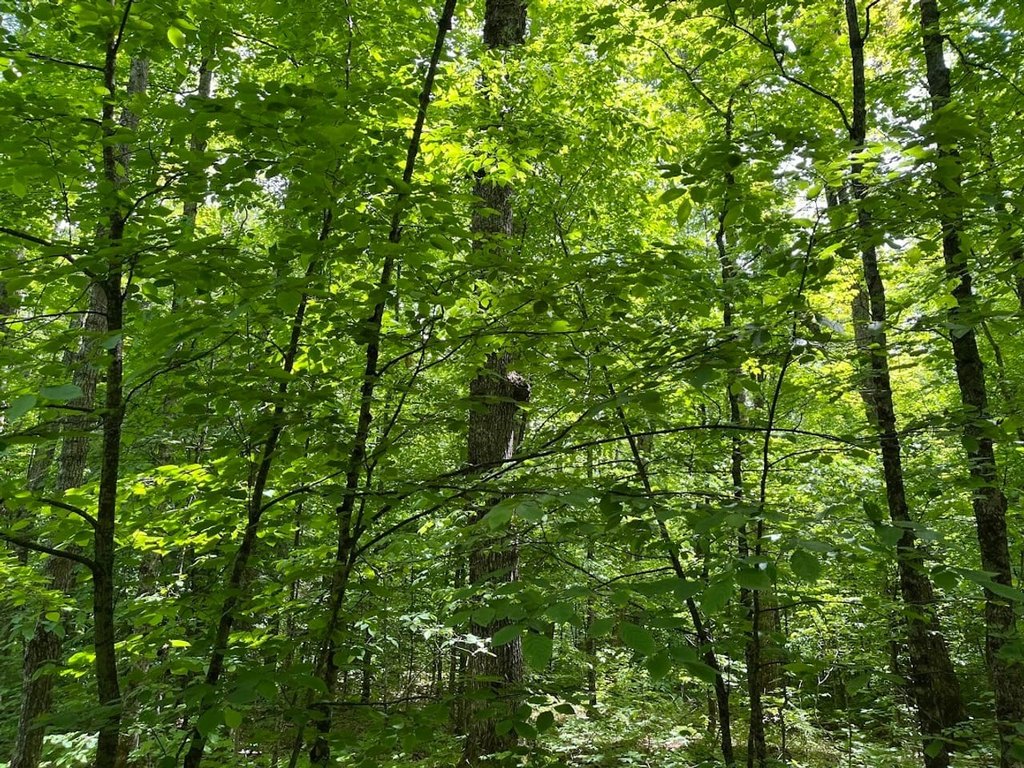 Picture 16