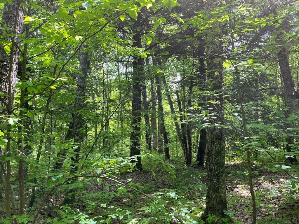 Picture 23