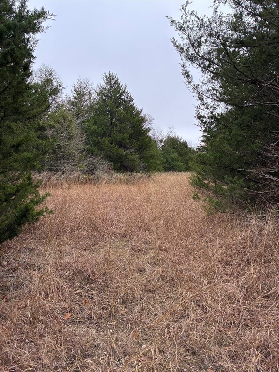 Picture 7
