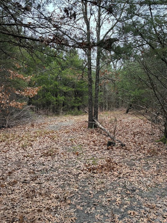 Picture 4