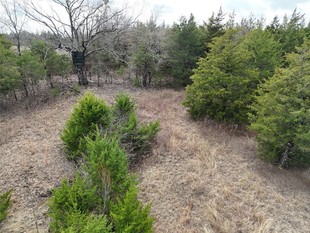 Picture 19