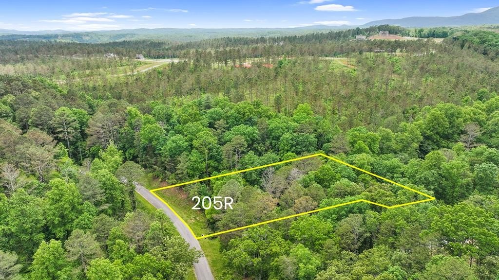 Ellijay Vacant Lot with Access