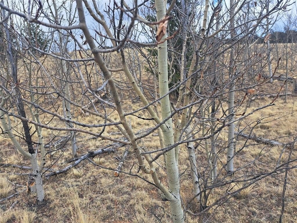 Picture 24