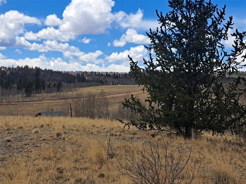 Picture 25