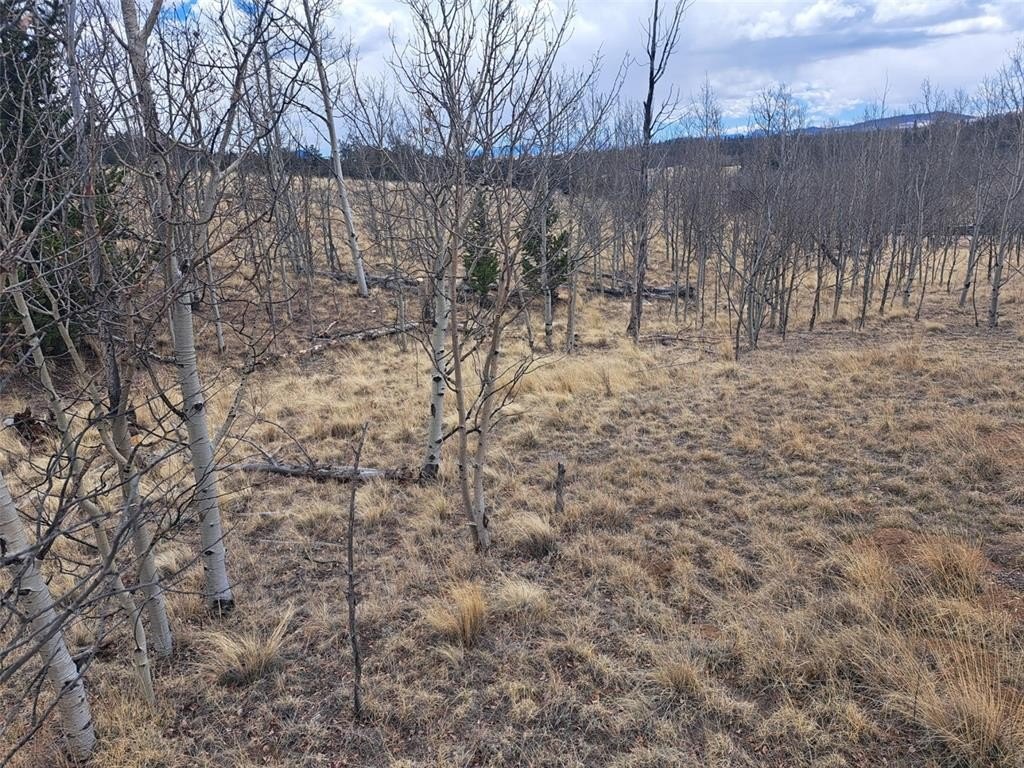 Picture 18