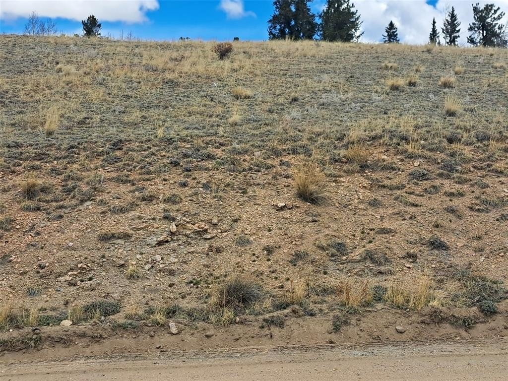 Picture 19