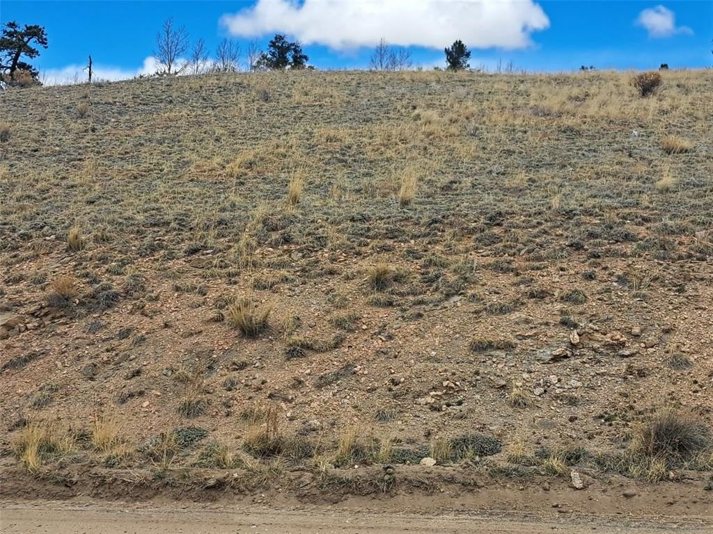 Picture 14