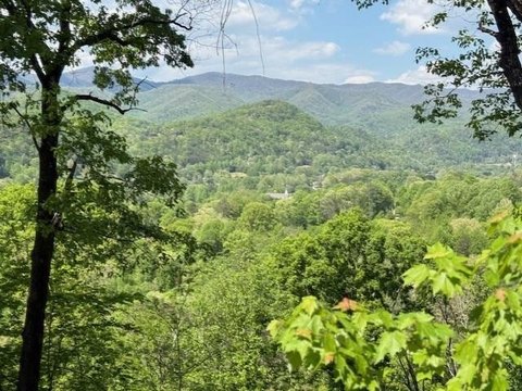 Mountain View Lot in Marble