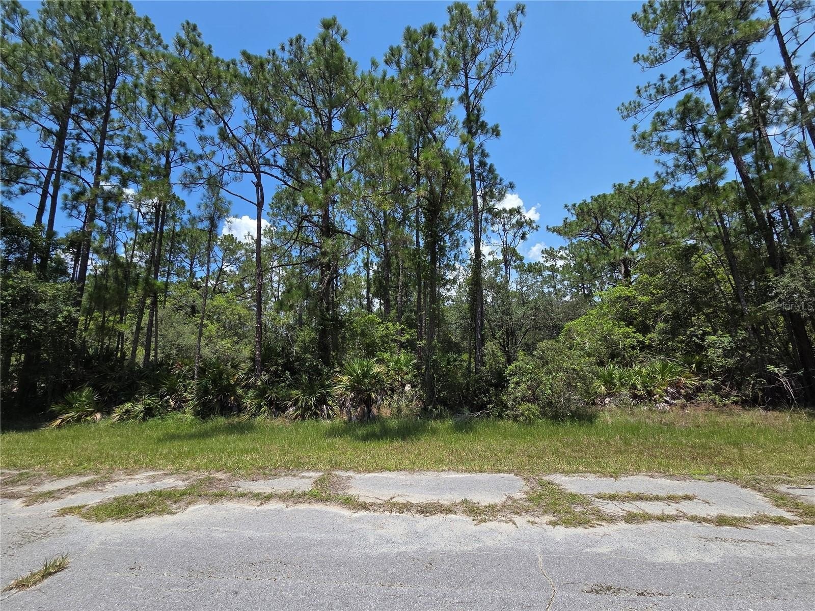 Residential Lot in Gated Community
