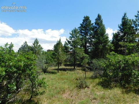 LAND - Larkspur, CO