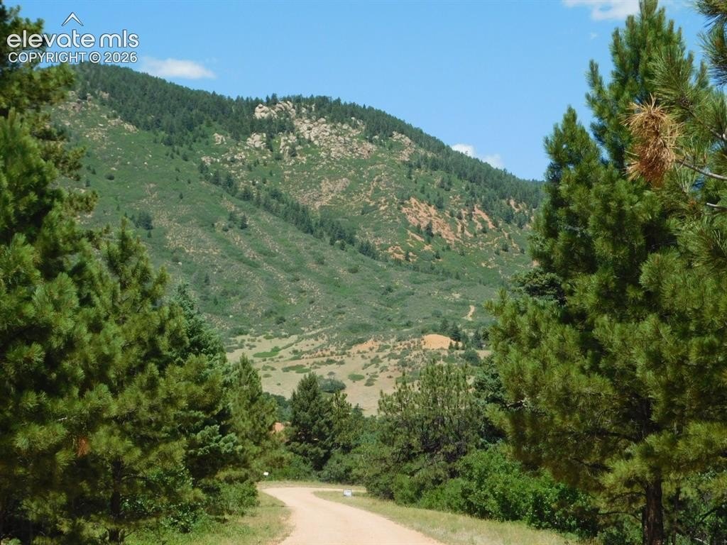 Picture 10