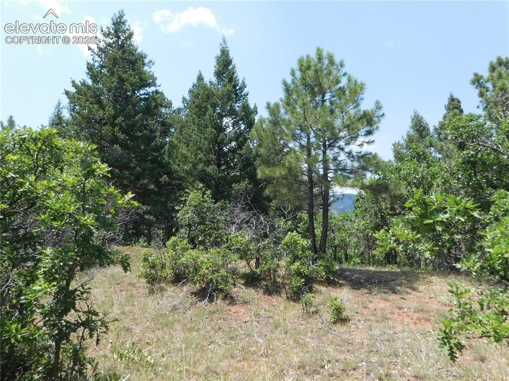Picture 50