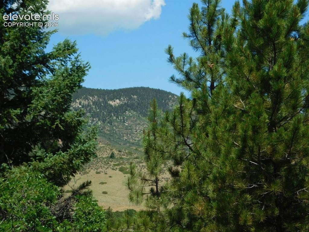 Picture 41