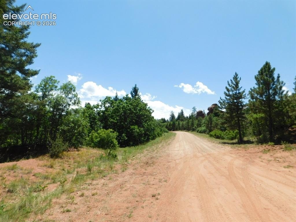 Picture 19