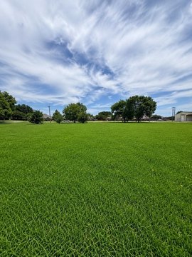 Residential Land in Forney, Texas