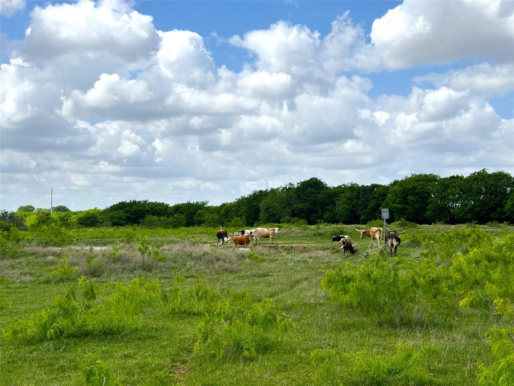 Picture 22