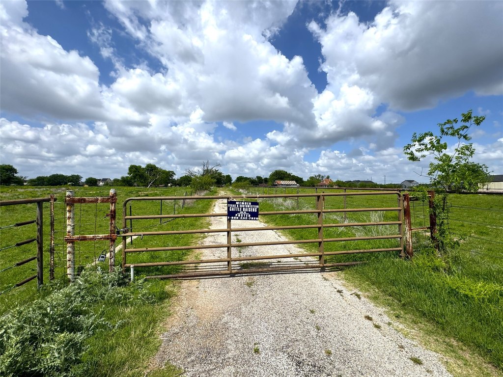 Picture 29