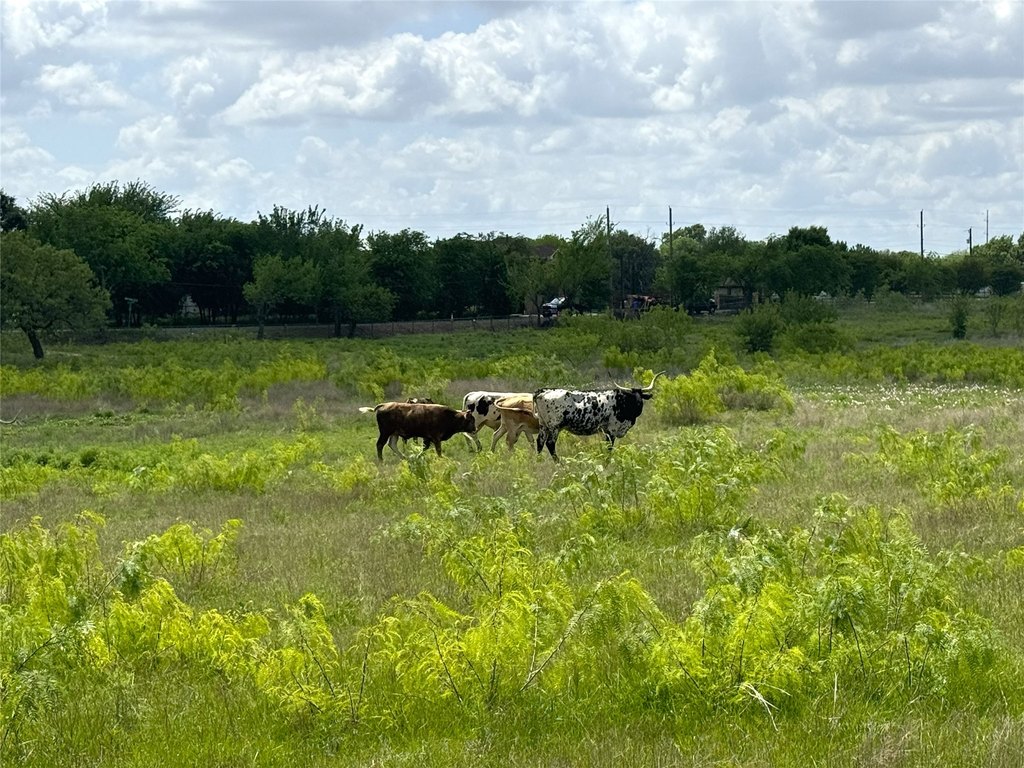 Picture 24