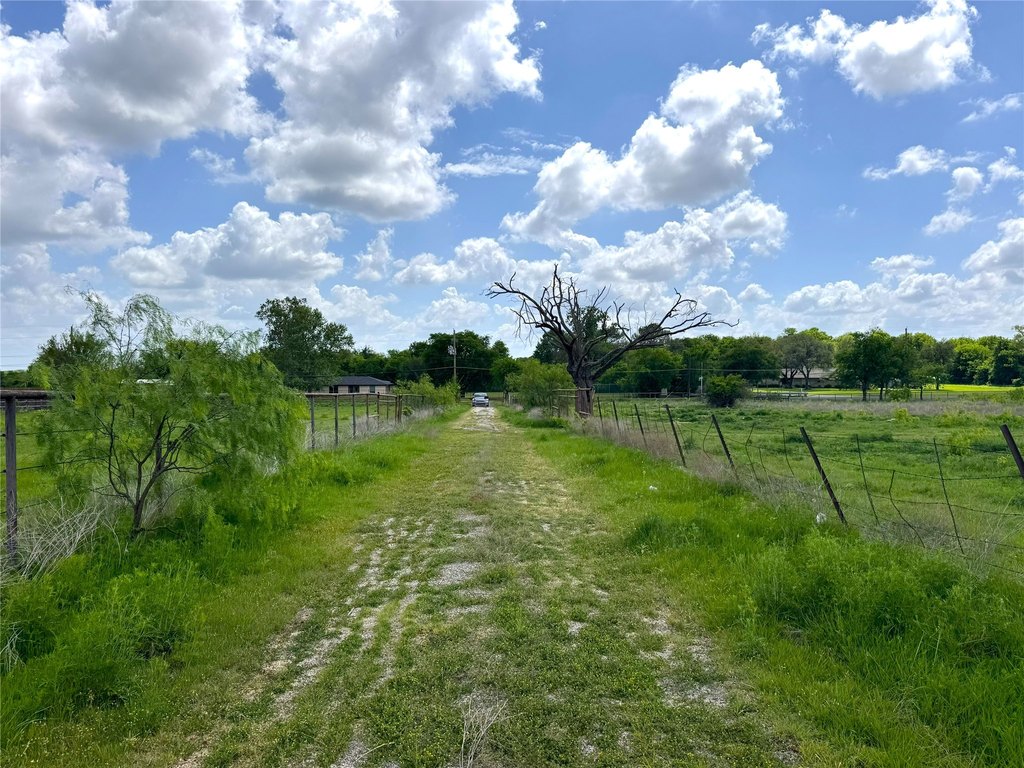 Picture 28