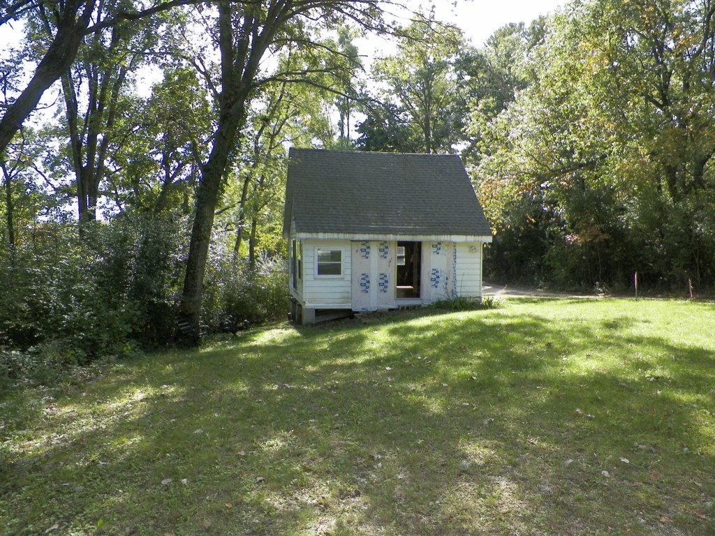 Picture 8