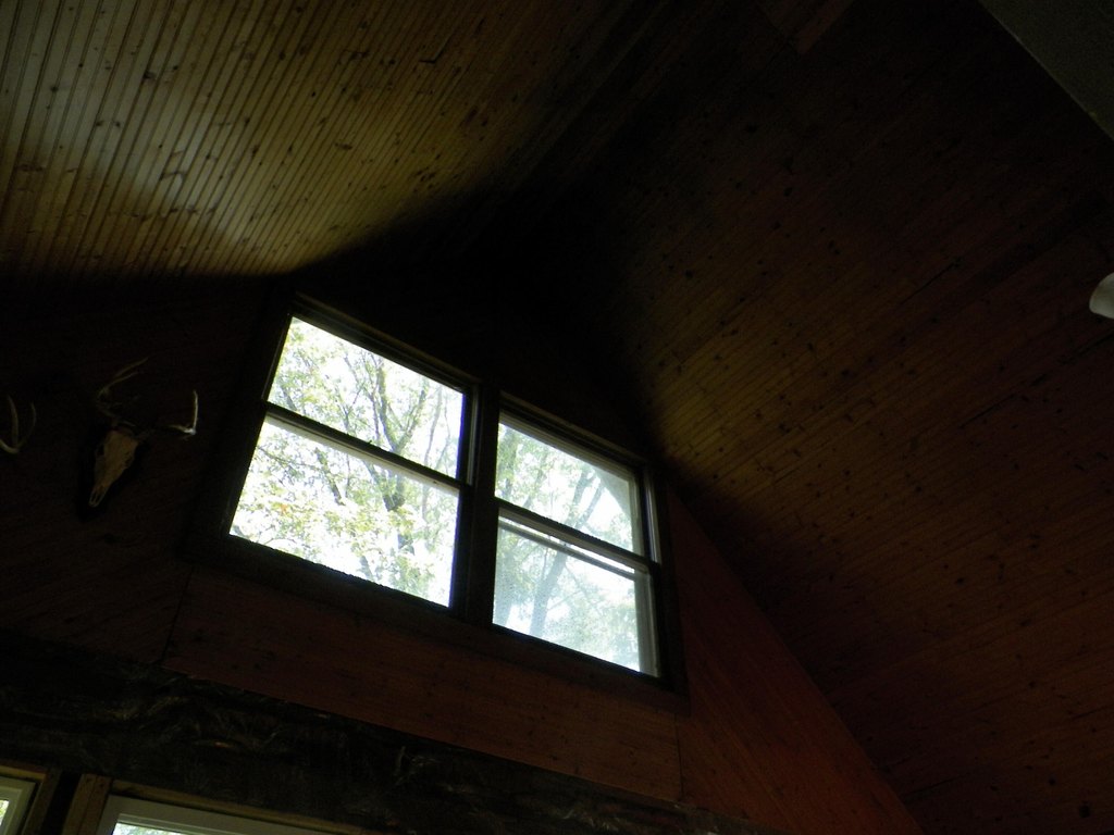 Picture 11