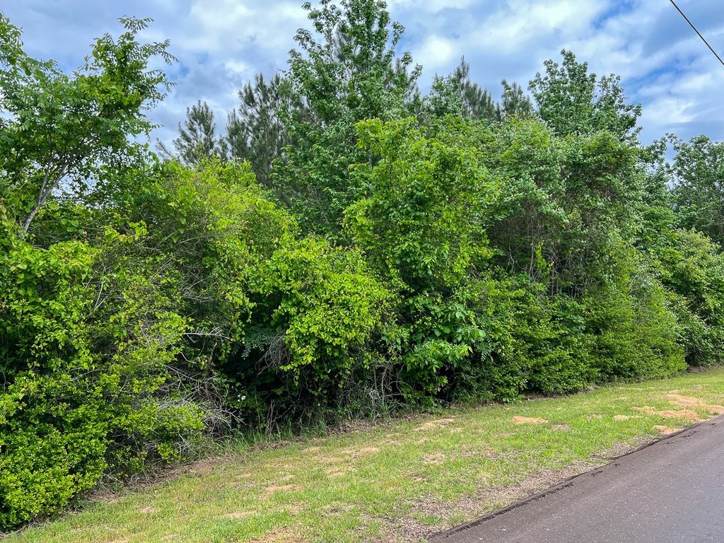 Picture 4