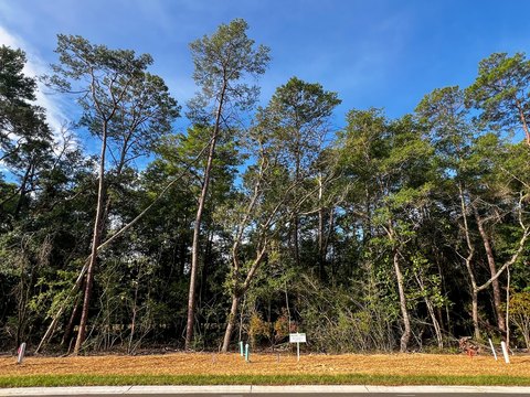 Residential Land in Deer Moss Creek