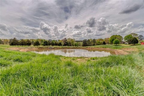 Pasture Land with Two Ponds
