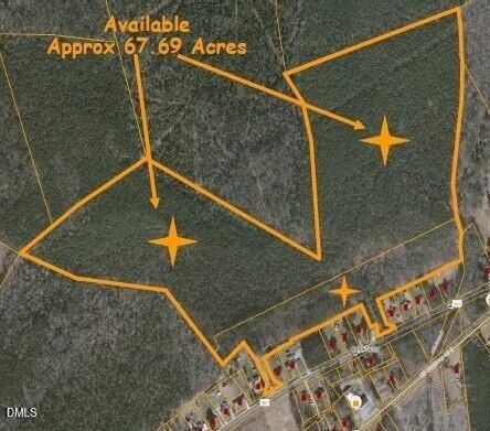 67+ Acres Timber Land