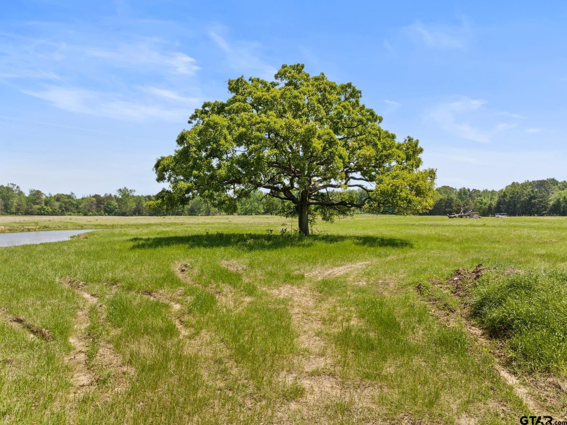 Unrestricted 10-Acre Land with Pond