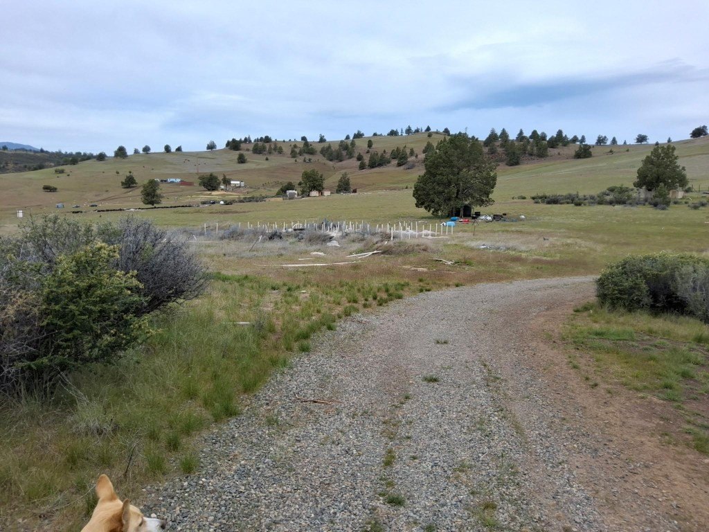 Picture 2