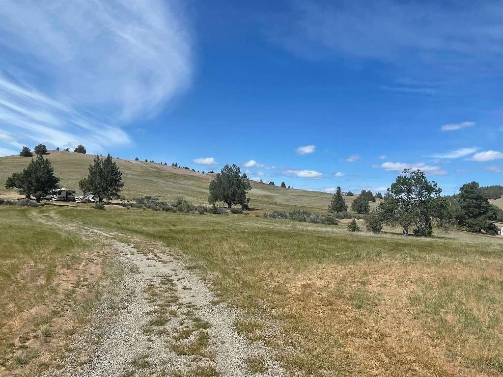 Picture 21