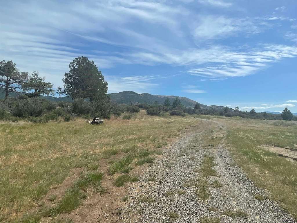 Picture 19