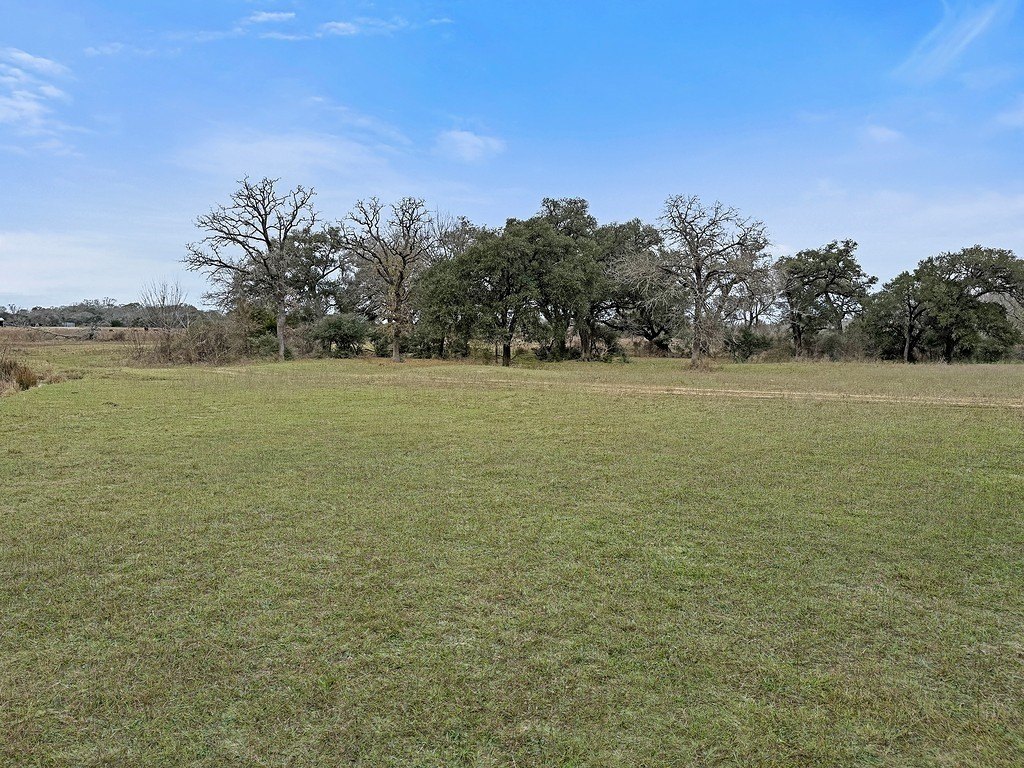 Picture 10