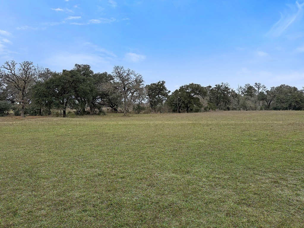 Picture 9