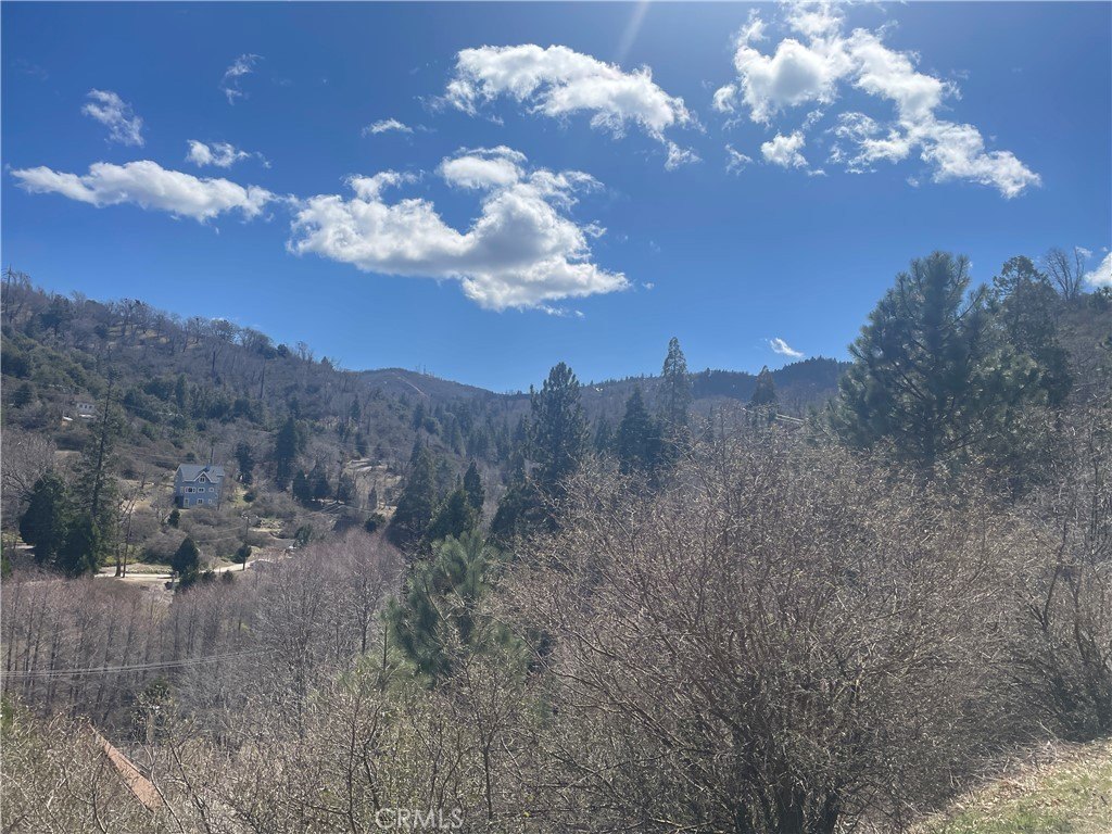 Two Land Parcels in Cedar Glen